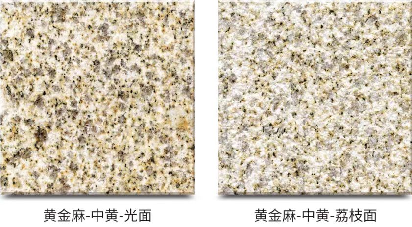 黃金麻-中黃